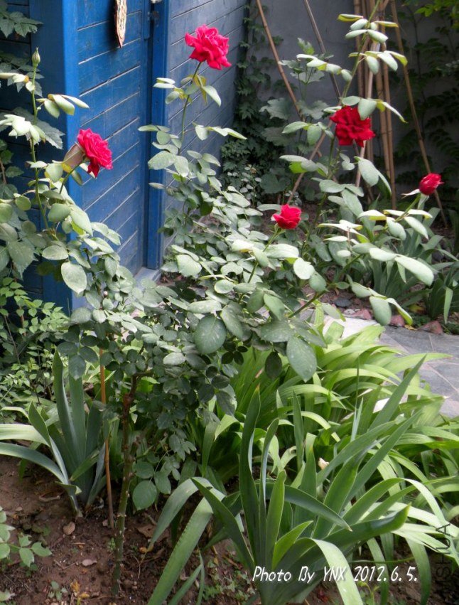 2012.6.5. 027_conew1.jpg