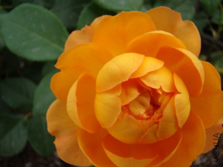 QQ��ͼ20120607092736.jpg