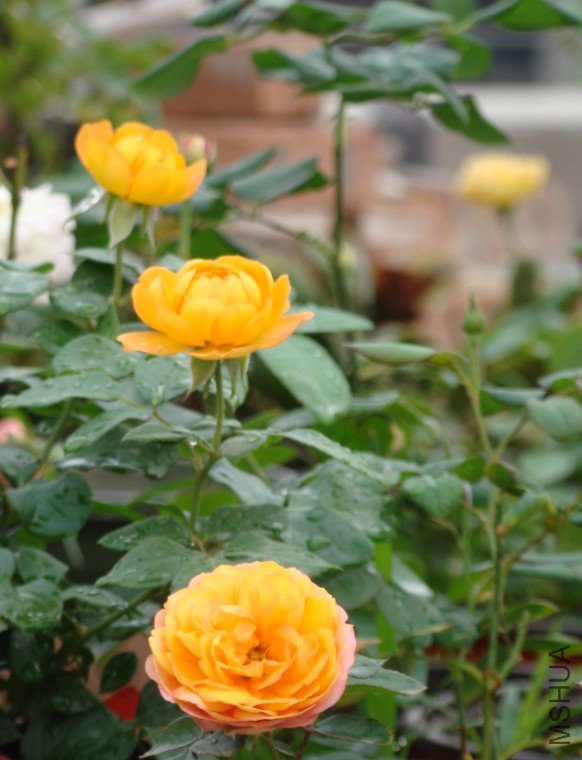 QQ��ͼ20120607093117.jpg