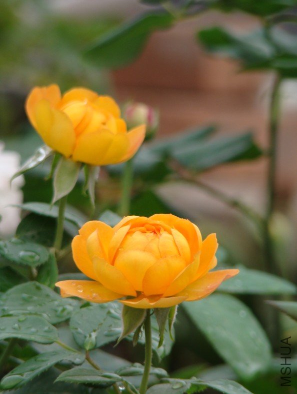 QQ��ͼ20120607093136.jpg