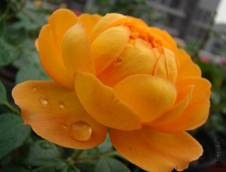 QQ��ͼ20120607093353.jpg