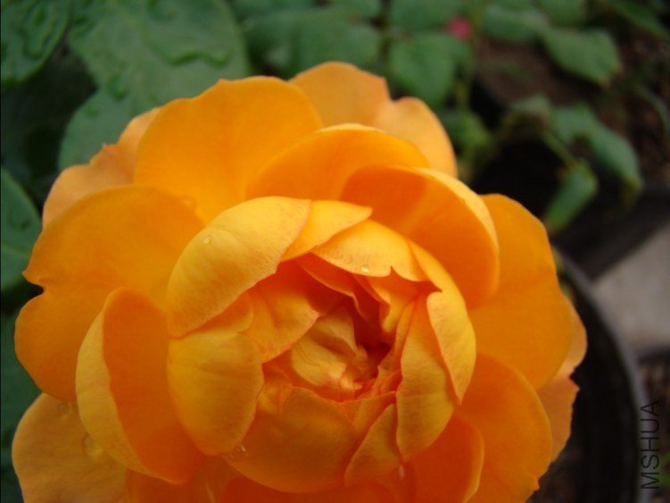 QQ��ͼ20120607093403.jpg