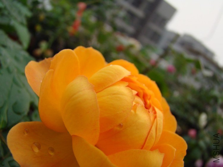 QQ��ͼ20120607093412.jpg