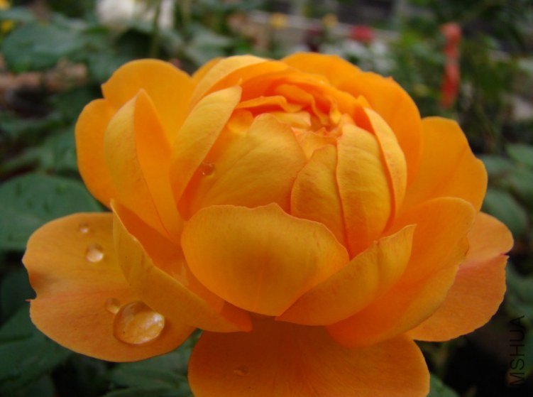 QQ��ͼ20120607093435.jpg