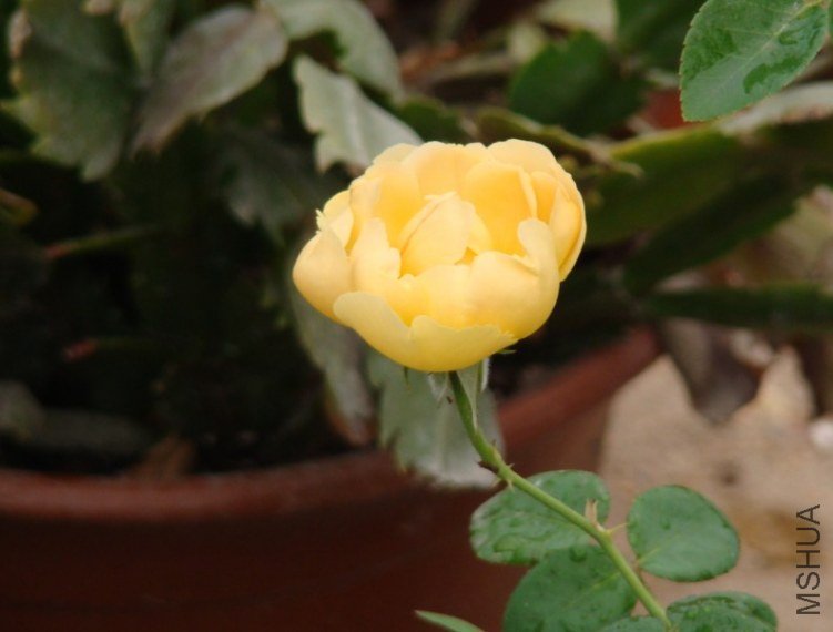 QQ��ͼ20120607092645.jpg