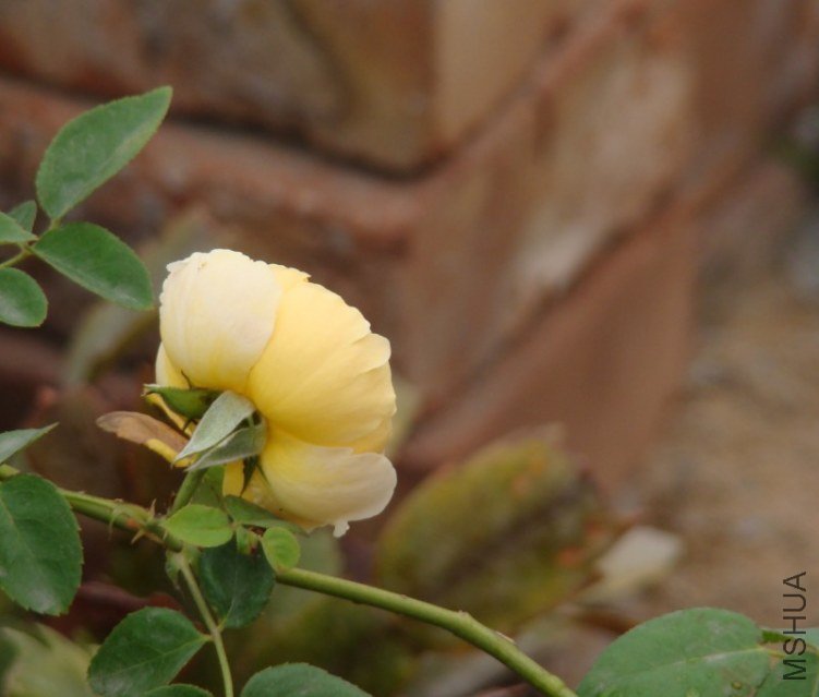 QQ��ͼ20120607092652.jpg