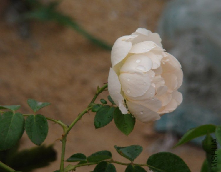 QQ��ͼ20120607092657.jpg