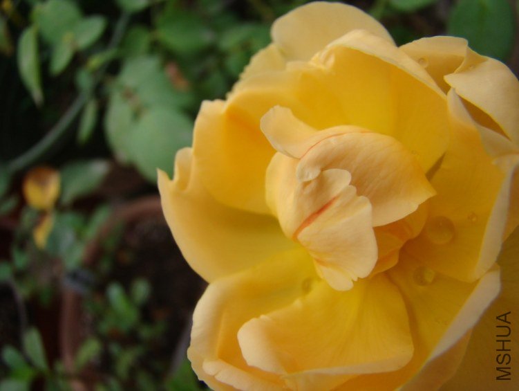 QQ��ͼ20120607092818.jpg