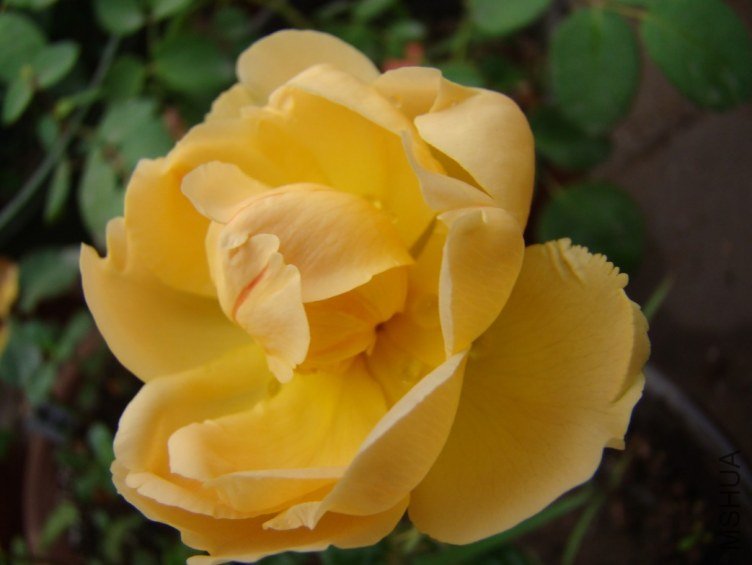 QQ��ͼ20120607092827.jpg