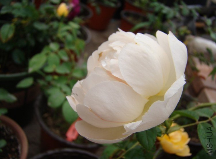 QQ��ͼ20120607092835.jpg