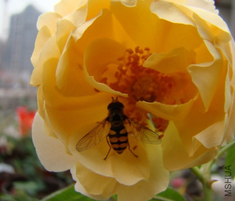 QQ��ͼ20120607092848.jpg
