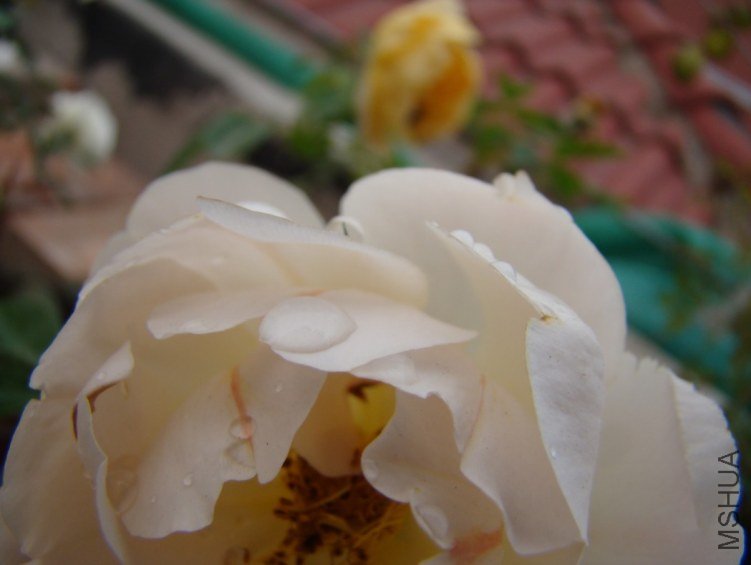 QQ��ͼ20120607092919.jpg
