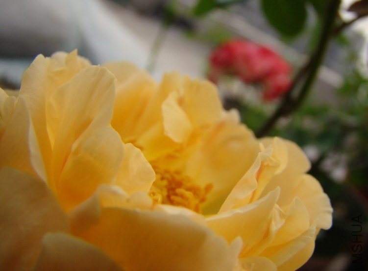 QQ��ͼ20120607093556.jpg