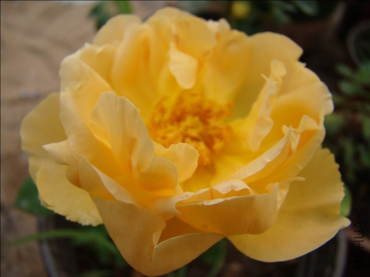 QQ��ͼ20120607093605.jpg