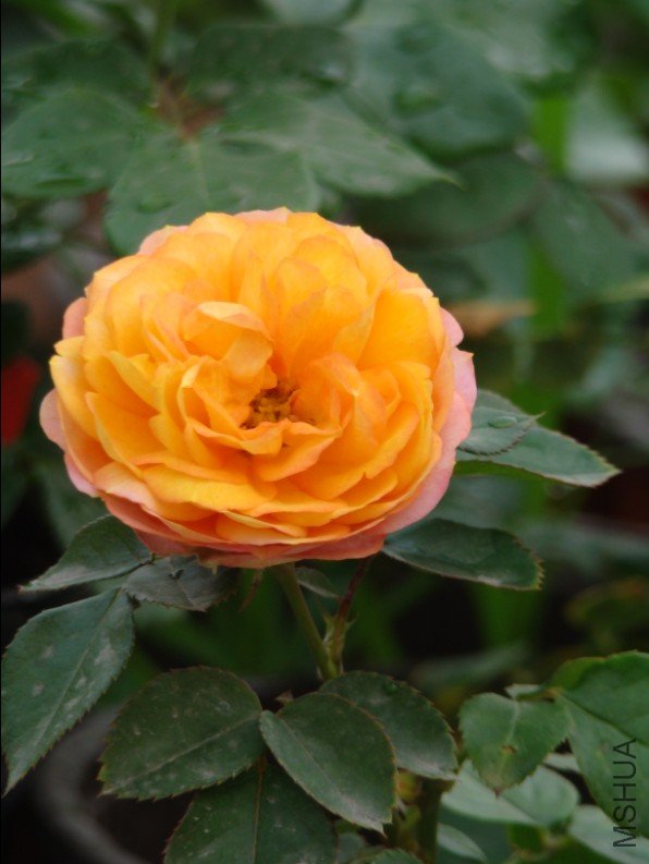 QQ��ͼ20120607093145.jpg