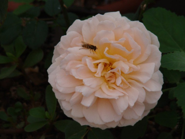 QQ��ͼ20120607092625.jpg