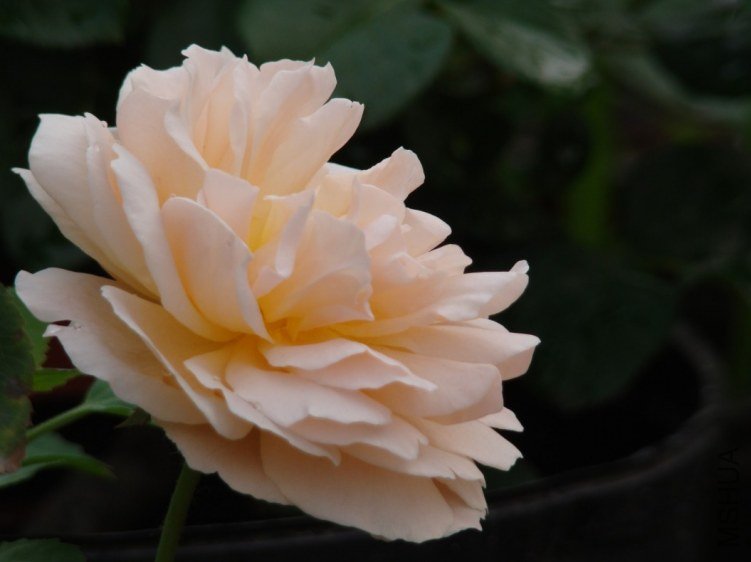 QQ��ͼ20120607093235.jpg