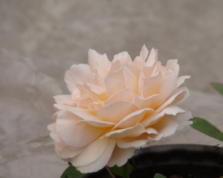 QQ��ͼ20120607093701.jpg