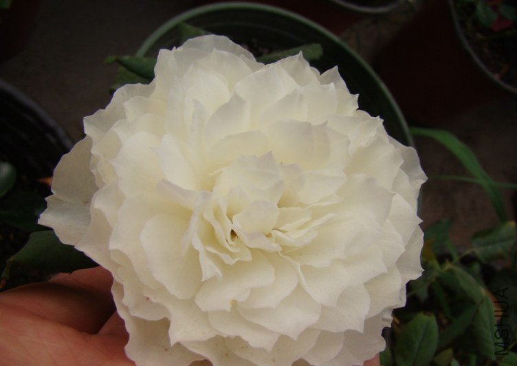 QQ��ͼ20120607093543.jpg