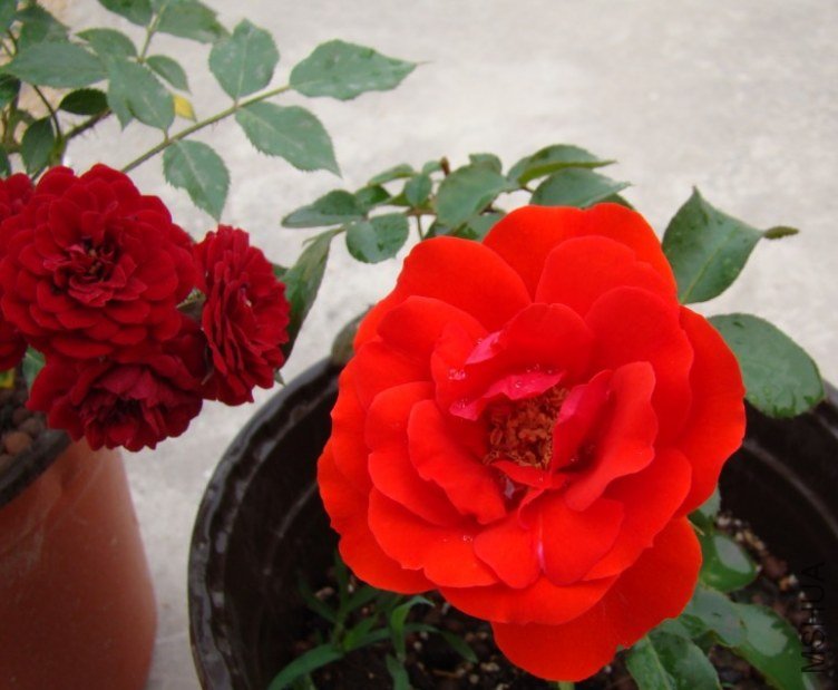 QQ��ͼ20120607092941.jpg