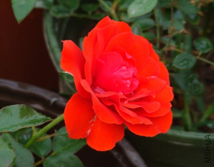 QQ��ͼ20120607093034.jpg