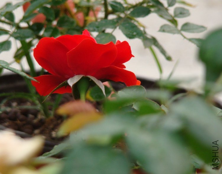 QQ��ͼ20120607093329.jpg