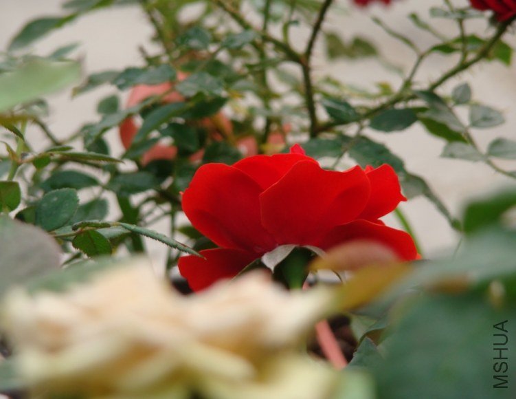 QQ��ͼ20120607093343.jpg