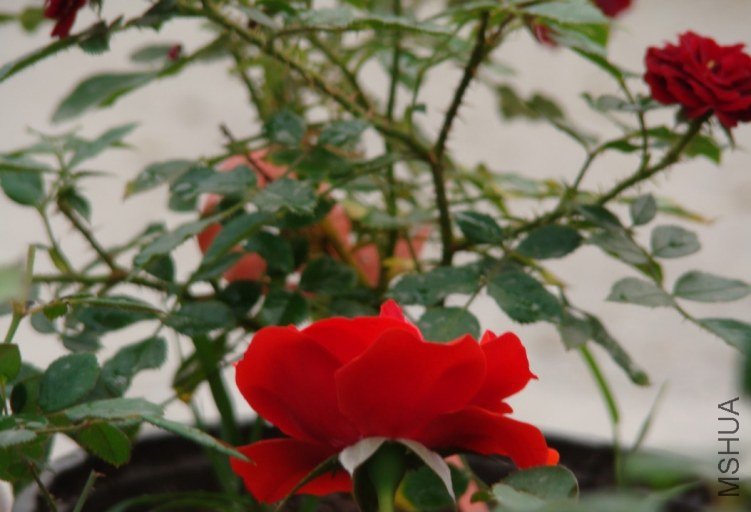 QQ��ͼ20120607094001.jpg