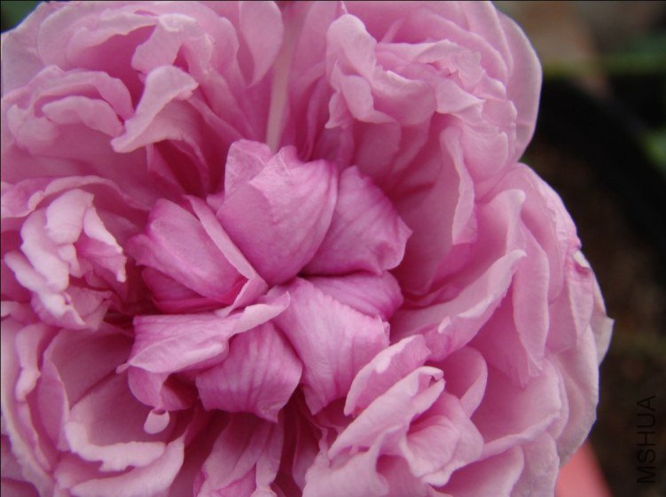 QQ��ͼ20120607093047.jpg