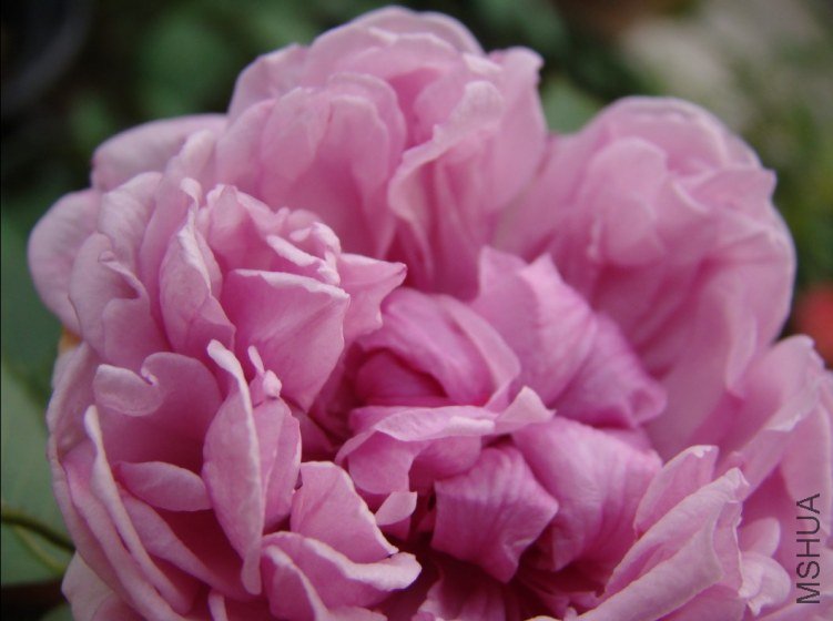 QQ��ͼ20120607093057.jpg
