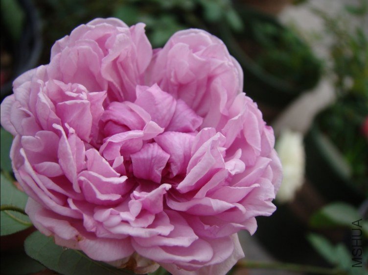 QQ��ͼ20120607093107.jpg