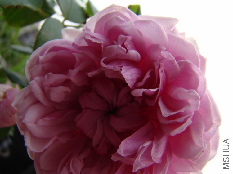 QQ��ͼ20120607093422.jpg