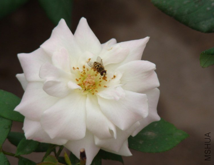 QQ��ͼ20120607092719.jpg