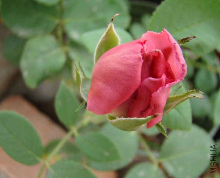 QQ��ͼ20120607092746.jpg