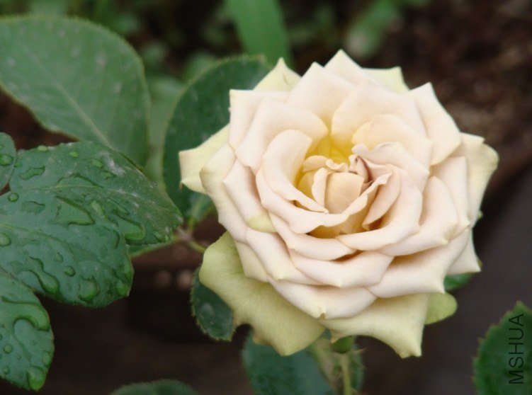 QQ��ͼ20120607093002.jpg