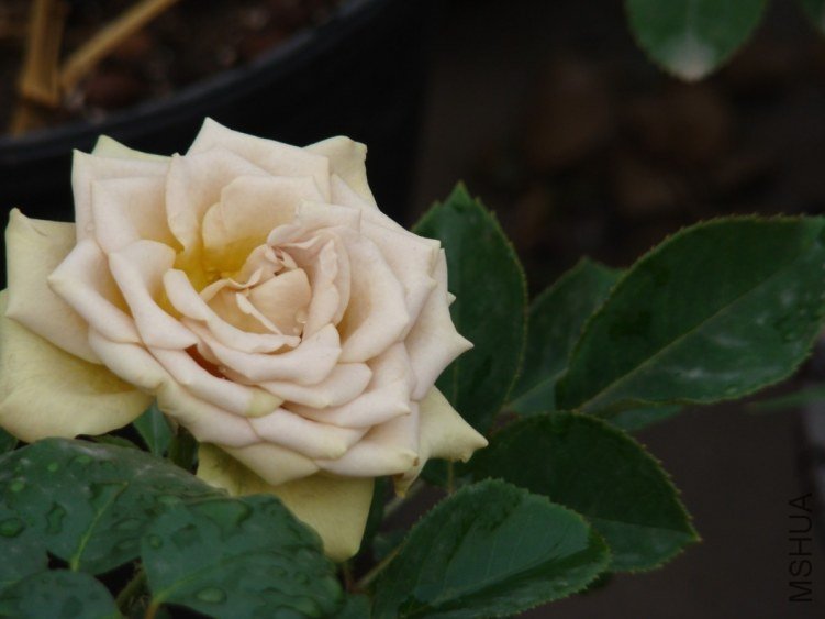 QQ��ͼ20120607093040.jpg
