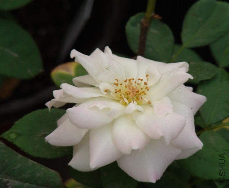 QQ��ͼ20120607093638.jpg