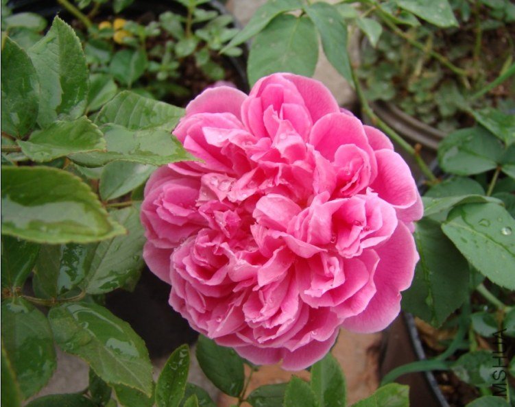 QQ��ͼ20120607092759.jpg