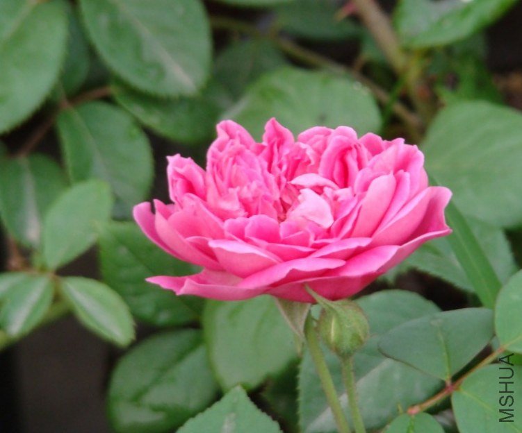 QQ��ͼ20120607093027.jpg