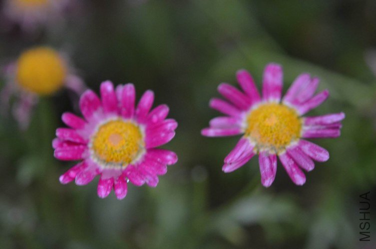 ������С 糺�ɫ�ǹ��������20120606 001.JPG