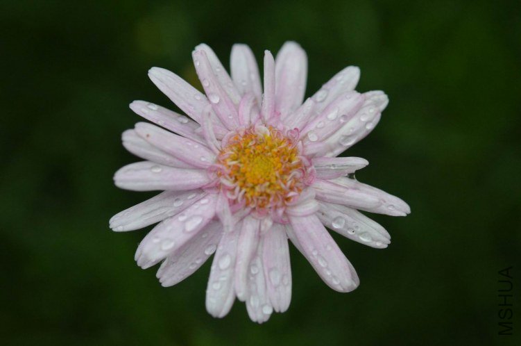 ������С ��ɫ���ذ��������20120606 002.jpg