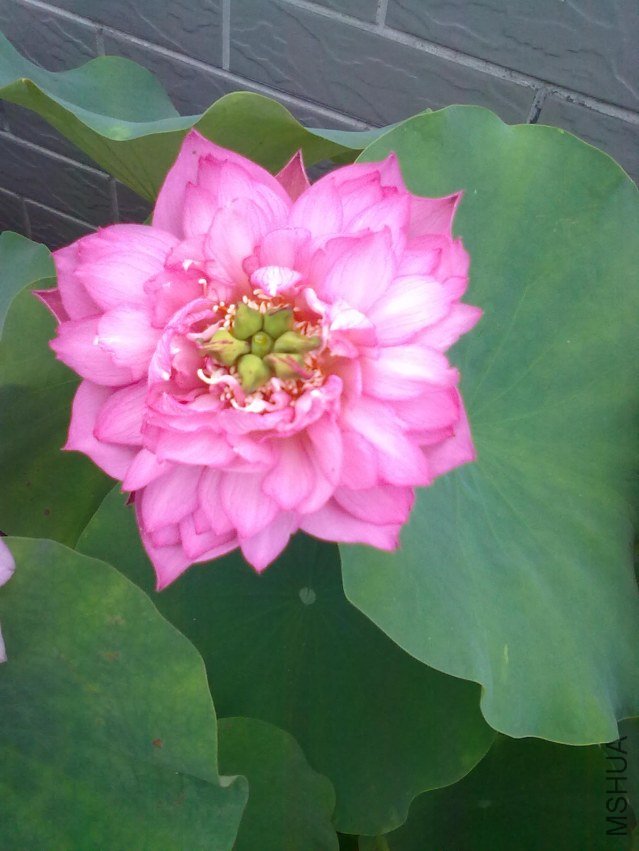 201206062501.jpg