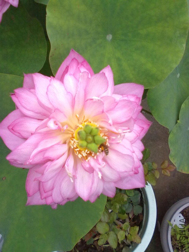 201206072503.jpg