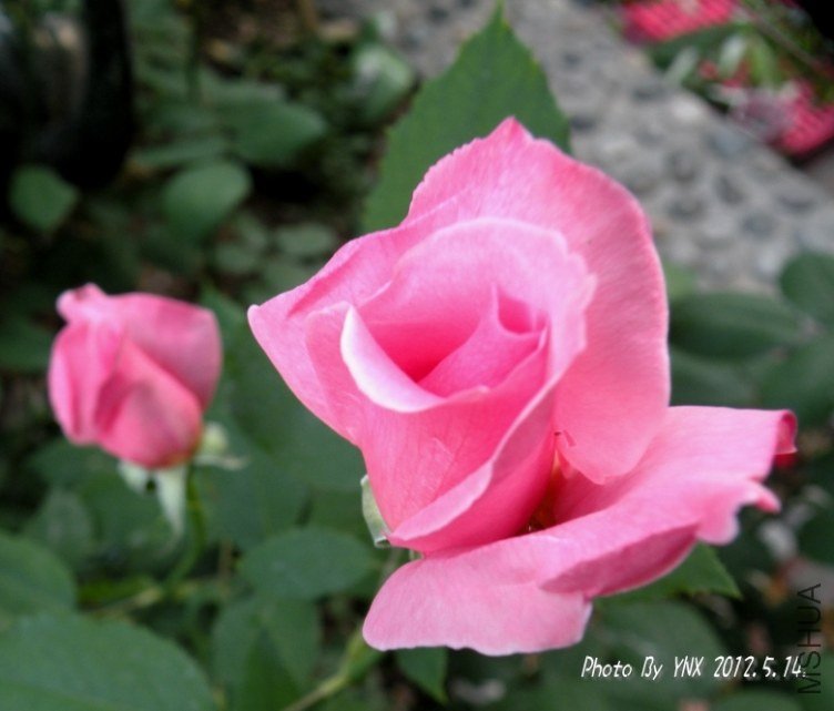 2012.5.14. 084_conew2.jpg