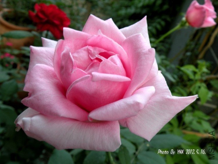 2012.5.16. 039_conew2.jpg