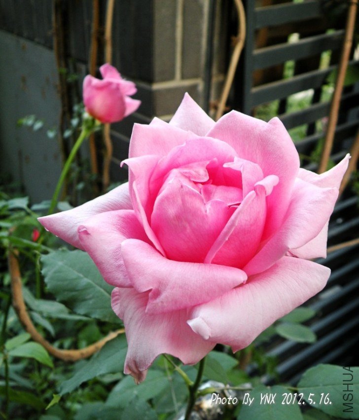 2012.5.16. 040_conew2.jpg