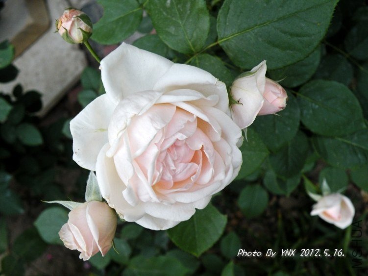 2012.5.16. 011_conew2.jpg