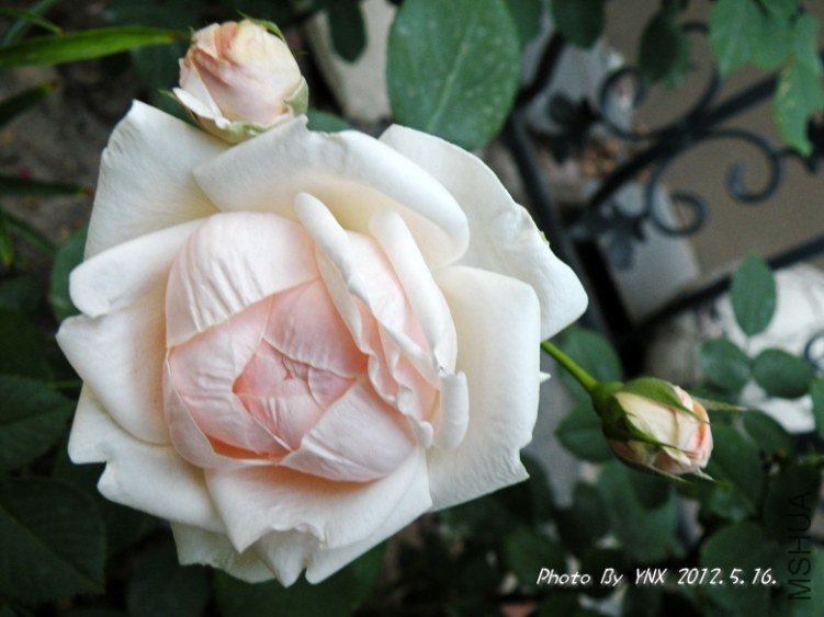 2012.5.16. 013_conew2.jpg