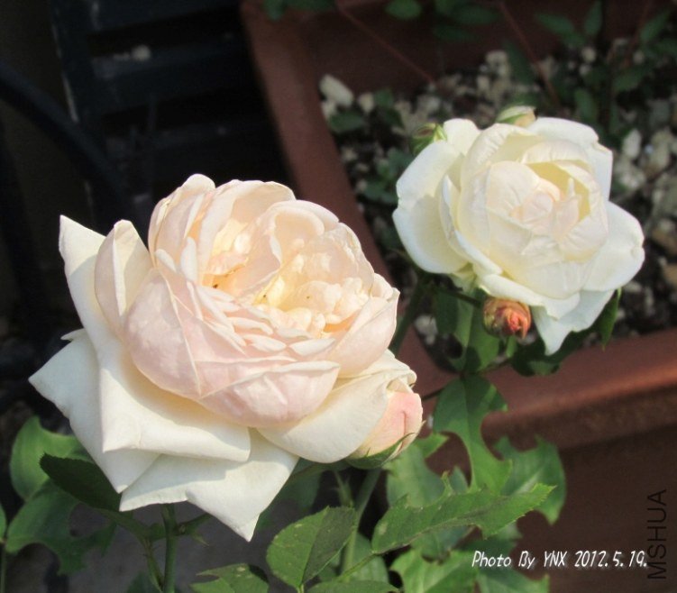 2012.5.19. 027_conew1.jpg