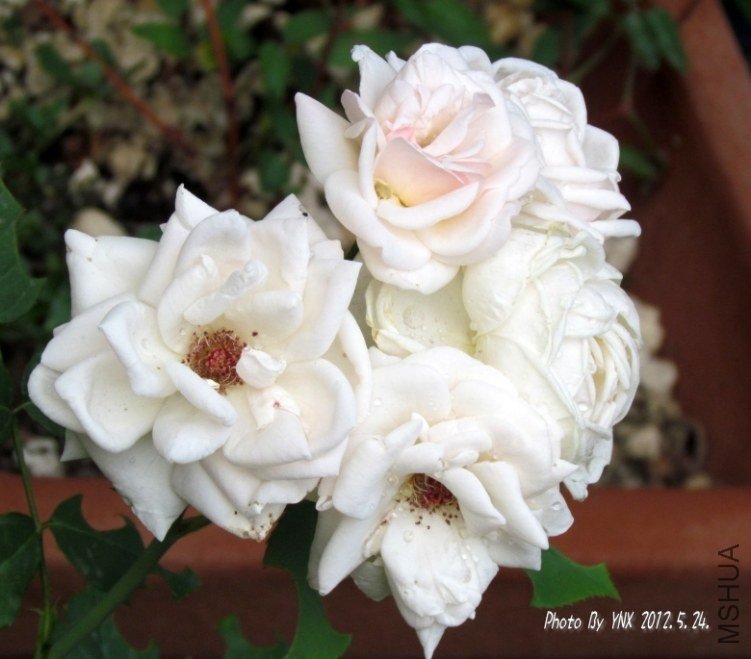 2012.5.24. 056_conew2.jpg